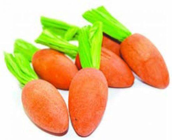Critter's Choice Happy Pet Carrot Nibblers Knaaghout - 6 stuks
