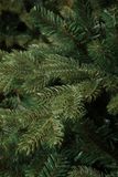 Triumph Tree Sherwood Sapin artificiel - Sapin artificiel H120 x D74 cm - Vert