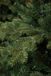 Triumph Tree Sherwood Sapin artificiel - Sapin artificiel H120 x D74 cm - Vert