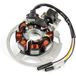 Motoforce Stator d'allumage type 1 Keeway / CPI