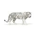 Papo - Realistische witte tijgerfiguur - 3 jaar en ouder - Wilde dieren collectie - Educatief spel wilde katachtige - Cadeau-idee speelgoed voor meisjes en jongens