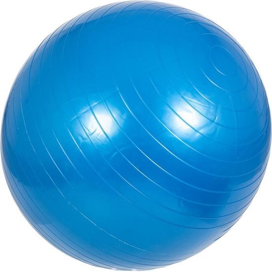 Gorilla Sports Fitnessbal Blauw 65 cm incl. pomp