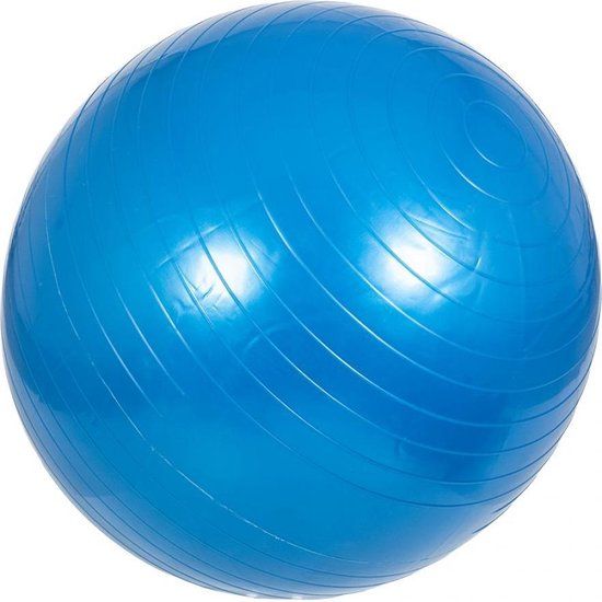 Fitnessbal Blauw 65 cm - inclusief pomp - belastbaar tot 500 kg