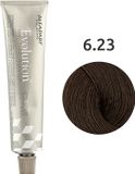 Alfaparf Evolution of the Color 6.23 Bruin 60 ml