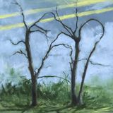 Where Concord Where the Earth Bends CD