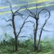 Where Concord Where the Earth Bends CD
