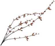 Silk-ka Kunstbloem-Zijden Bloem Rozenbottel Tak Bruin 121 cm