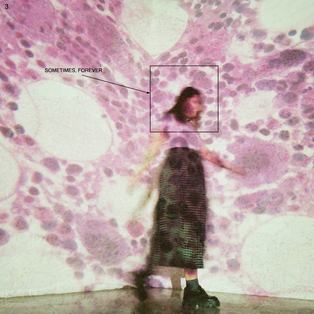 Universal Music Nederland Sometimes, Forever (LP) (Coloured Vinyl) (Limited Edition)