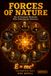 Forces of Nature: The 10 Greatest Physicists Who Unlocked the Universe — Great Minds Series, Book 2