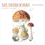 Mushrooms: POMEGRANATE EU CALENDARS 2027 Mushrooms: Alexander Viazmensky 2027 Wall Calendar