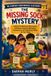 The Independently Published The Missing Sock Mystery: A Real-Life Adventure About Laundry Skills, Responsibility, Organization and Taking