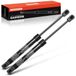 Frankberg 2 x gasveer demper motorkap compatibel met A8 4E Limousine 2002-2010 A8 4E2 4E8 Limousine 2002-2010 Vervanging # 4E0823359D