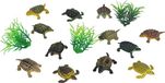 Wild Republic Speelset Schildpadden Junior 15-delig