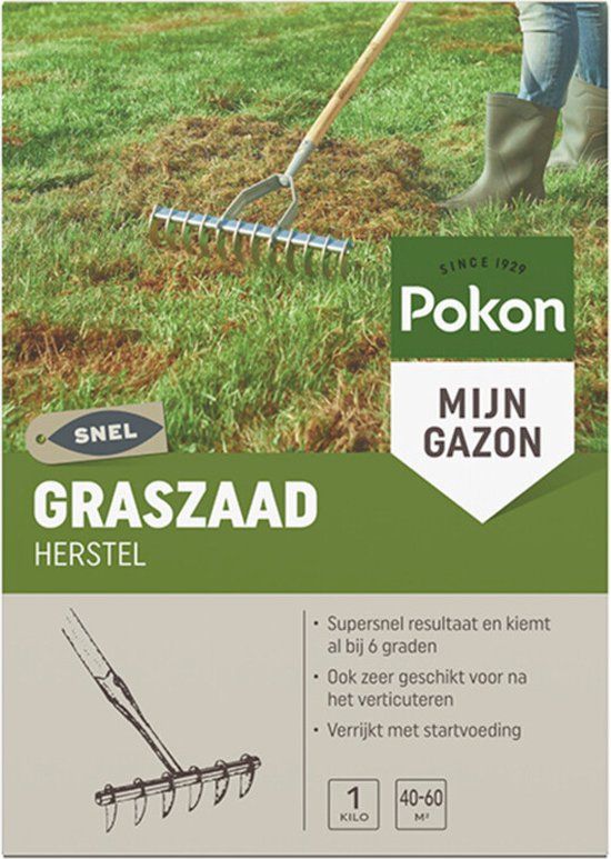 Pokon Graszaad Herstel - 1kg - Gazonherstel - Supersnel egaal groen gras