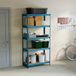 Home Vida Rek met 5 niveaus, zeer robuust, voor keuken, garage, capaciteit 875 kg, blauw