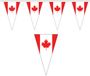 Merkloos / Sans marque Canada landen punt vlaggetjes - 20 meter - slinger / vlaggenlijn - supporters - binnen/buiten - polyester