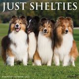 Willow Creek Press Shelties 2027 12 X 12 Wall Calendar