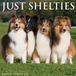 Willow Creek Press Shelties 2027 12 X 12 Wall Calendar