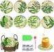 Ibenzoa® 8 sous-verres avec support, sous-verres DIY Diamond Art, 5D plantes, sous-verres Diamond Painting pour débutants, adultes et enfants