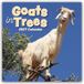 Goats Gifted Stationery Co. Ltd Goats in Trees - Ziegen auf Bäumen 2027 - 16-Monatskalender