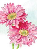 Mini Piccadilly Greetings Mini Lege Kaart Blank - 80 x 110 mm