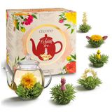 Creano Cadeau-Set met Theebloemen – FLOWER DESIGN – lenteblends (voorjaarspluk) met Glazen Theekan van 500 ml & 6x witte Thee – Cadeau voor Pasen en Moederdag