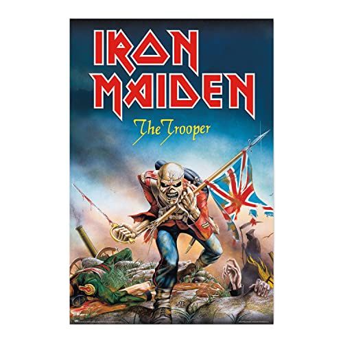 Grupo Erik Iron Maiden The Trooper poster