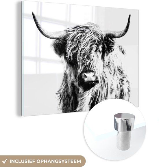MuchoWow® Glass Painting 40x30 cm - Acrylic Glass Painting - Black - White - Scottish Highlander - Animals - Photo on Glass - Paintings