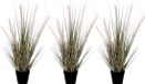 Mica Decorations Dogtail/siergras kunstplant vert 53 cm in pot noir - 3x
