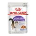 Royal Canin Feline Sterilised Gelei | 12 x 85 g | Volledig voer voor gesteriliseerde, volwassen katten