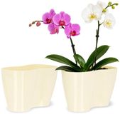 Merkloos KADAX Bloempot voor binnen, crème, 23,5 x 12 cm