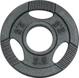 Gorilla Sports Gewicht - Halterschijf - 2.5 kg - Gripper Gietijzer - 50/51 mm