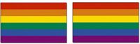 Merkloos / Sans marque Goodies and Living Groothandel Regenboog kleuren vlag - 2x - 90 x 150 cm - polyester - met ringen