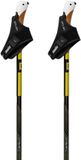 Swix Dynamic D3 Stokken Goud 150 cm