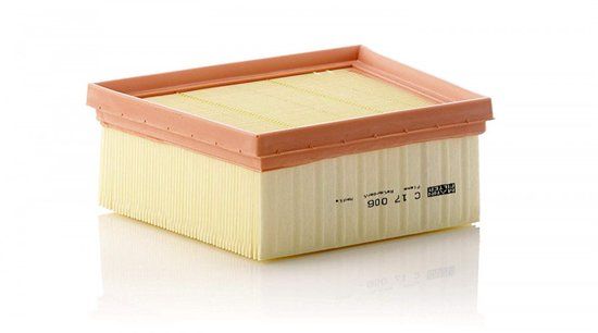 MANN-FILTER, MANN Air Filter C17006
