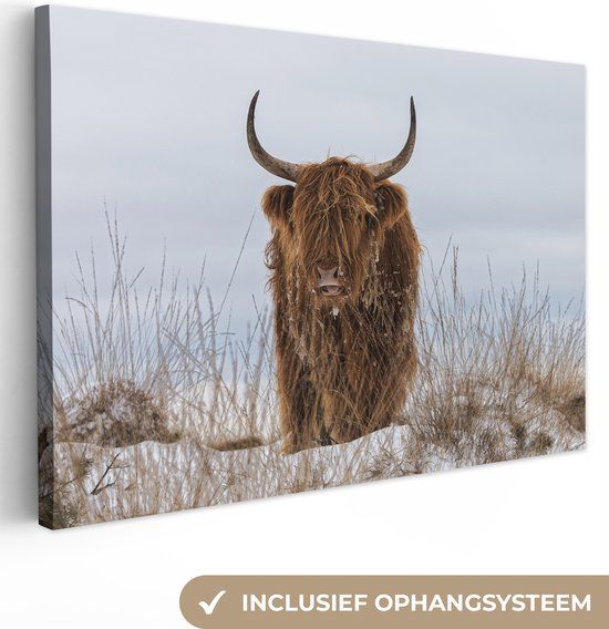 OneMillionCanvasses Canvas schilderij Schotse Hooglander - 150x100 cm