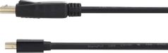Renkforce RF-4538178 DisplayPort-kabel Mini-displayport / DisplayPort Adapterkabel Mini DisplayPort-stekker, DisplayPort-stekker 3.00 m Zwart Vergulde