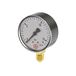 Riegler Manometer D 50mm 0-10bar G1/4 staand