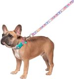 Squishmallows Originele Squish Squad Pet Leash/Lead - Officiële Jazwares Pets Apparel