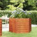 Maison Exclusive - Jardinière surélevée en acier Corten, couleur rouille, dimensions 129x129x77 cm