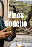 Vinos Godello