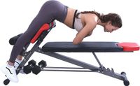 Shenzhen Haorui Industrial Technology Co., Ltd. Banc d'haltères réglable multifonctionnel pour développé couché, extensions de dos et abdominaux
