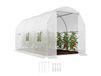 Outsunny Tunnelkas - PE, metaal - 350x200x200cm - Wit