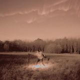 SILVER Pomrad - Silver Blue (LP)
