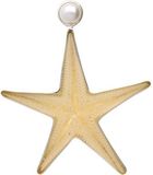 MOOYE ® - Collectie Zilveren Zeester - echt - met parel XL kettinghanger