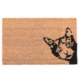Esschert Design Paillasson 40 x 60 cm Fibre de coco/PVC Brun/Noir