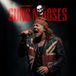 The Guns N' Roses The Rock N' Roots of Guns N' Roses LP Rood