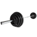 VirtuFit Haltères olympiques en fonte - 120 kg