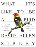 What Alfred A. Knopf What It's Like to Be a Bird: From Flying to Nesting, Eating to Singing--What Birds Are Doing, and Why Hardcover