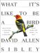 What Alfred A. Knopf What It's Like to Be a Bird: From Flying to Nesting, Eating to Singing--What Birds Are Doing, and Why Hardcover
